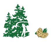 Dennis Golf Courses |  Dennis Pines, Dennis Highlands - MA
